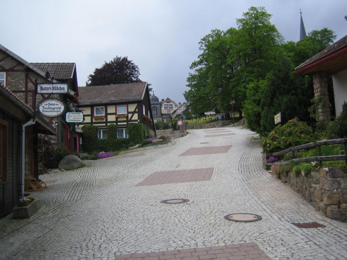 Wurmberg In Sicht -Ferienwohnung Schulte シールケ エクステリア 写真